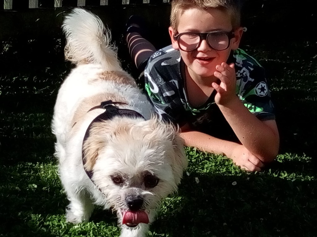 WhatsApp Image 2019-01-31 at 7.05.12 PM