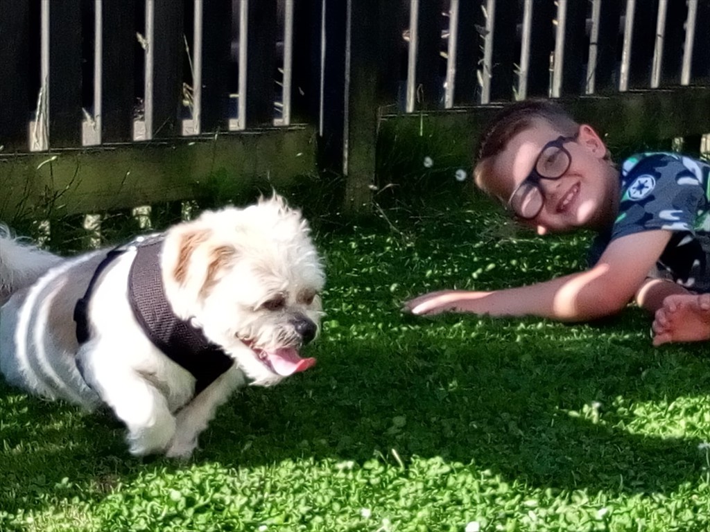 WhatsApp Image 2019-01-31 at 7.05.12 PM (1)