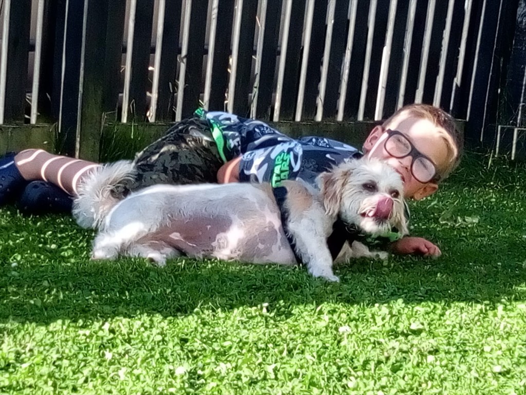 WhatsApp Image 2019-01-31 at 7.05.13 PM