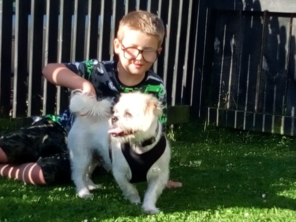 WhatsApp Image 2019-01-31 at 7.05.13 PM (1)