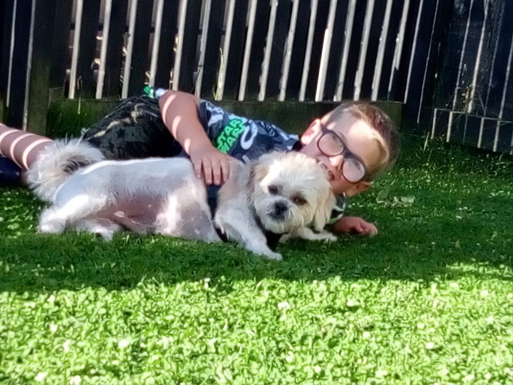 WhatsApp Image 2019-01-31 at 7.07.46 PM (1)